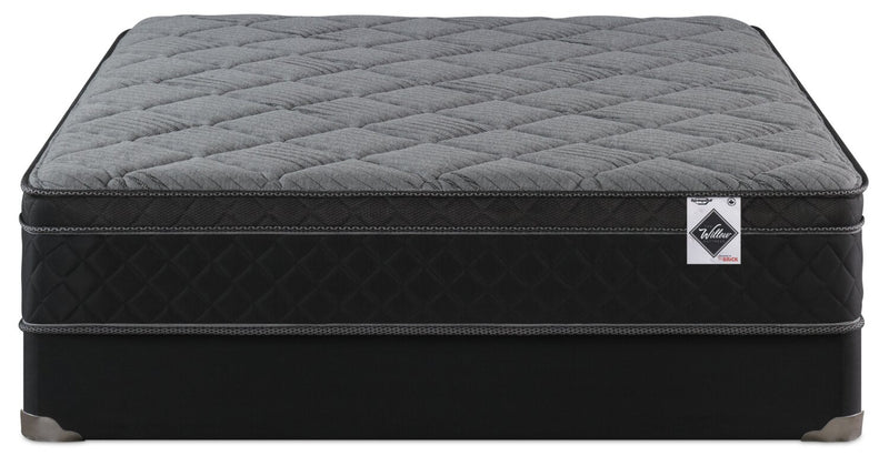 Springwall Aspen Eurotop Twin Mattress-in-a-Box Set