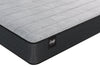 Sealy® Kylie Tight Top Queen Mattress