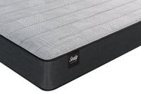 Sealy® Kylie Tight Top Twin Mattress 