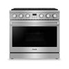 Thor Kitchen 6 Cu. Ft. Professional Gas Range - ARG36