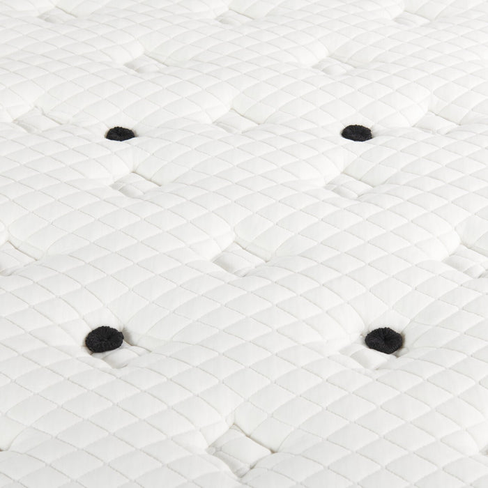 Scott Living Aviemore Tight Top Firm Twin Mattress