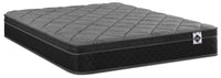 Springwall Aspen Eurotop Queen Mattress-in-a-Box  