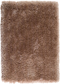 Sparkle Champagne Shag Area Rug 