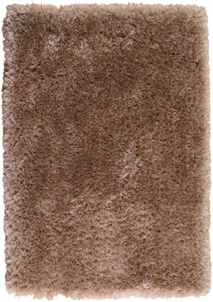 Sparkle Champagne Shag Area Rug – 5' x 8'